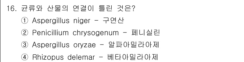 바이오화학제품제조기사 2015년 16번 - Rhizopus delmar는 베타 아밀라아제와 관련이 있으며, 이는 전... 에 관한 핵심 기출문제
