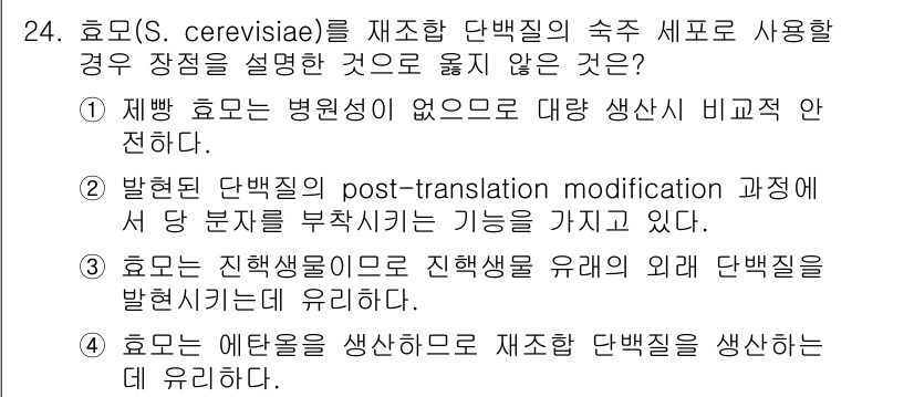 바이오화학제품제조기사 2015년 24번 - . 효모는 에탄올을 생산하도록 재조합 단백질 생산하는 데 유리하다.

이... 에 관한 핵심 기출문제