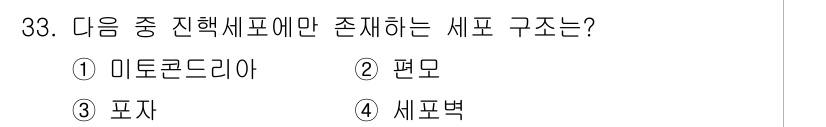 바이오화학제품제조기사 2015년 33번 - . 미토콘드리아  
미토콘드리아는 진핵세포에서 세포 호흡과 에너지 생성에... 에 관한 핵심 기출문제