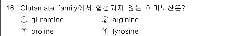 바이오화학제품제조기사 2016년 16번 - 정답 4. Tyrosine은 phenylalanine에서 합성되는 아미노... 에 관한 핵심 기출문제