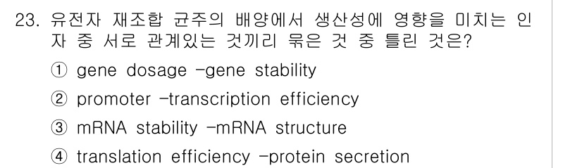 바이오화학제품제조기사 2016년 23번 - 번역 효율성(translation efficiency)과 단백질 분비(p... 에 관한 핵심 기출문제