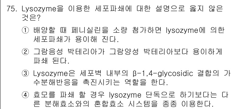 바이오화학제품제조기사 2016년 75번 - Lysozyme은 주로 세포벽을 파괴하는 효소로, 일반적으로 세균에 대항... 에 관한 핵심 기출문제