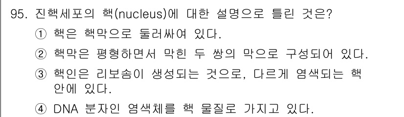 바이오화학제품제조기사 2016년 95번 - 핵은 두 개의 막으로 둘러싸여 있으며, 이 구조는 세포 내에서 핵의 기능... 에 관한 핵심 기출문제