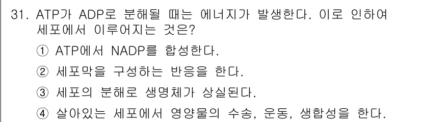 바이오화학제품제조기사 2017년 31번 - ATP가 ADP로 분해될 때 에너지가 방출되며, 이 에너지는 세포 내 다... 에 관한 핵심 기출문제