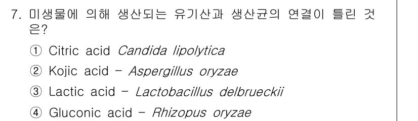 바이오화학제품제조기사 2019년 7번 - Gluconic acid는 Rhizopus oryzae에 의해 생산되며,... 에 관한 핵심 기출문제