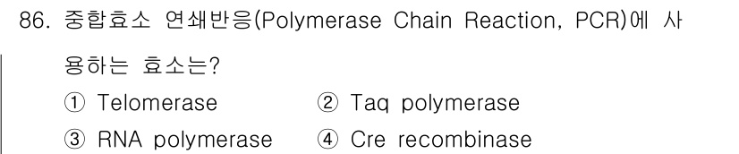바이오화학제품제조기사 2019년 86번 - 정답은 2. Taq polymerase입니다. Taq polymerase... 에 관한 핵심 기출문제