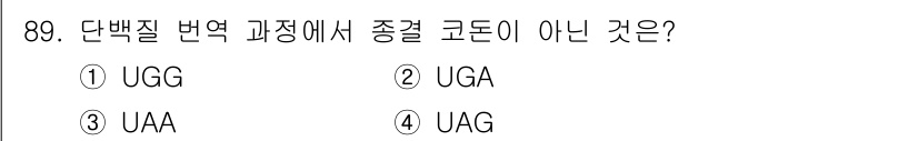 바이오화학제품제조기사 2019년 89번 - 정답은 1번 UGG입니다. 단백질 번역 과정에서 종결 코돈은 UAA, U... 에 관한 핵심 기출문제