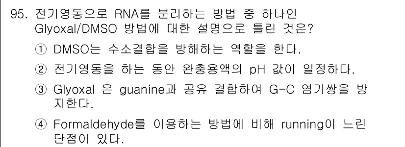 바이오화학제품제조기사 2019년 95번 - Glyoxal/DMSO 방법에서 DMSO는 수소결합을 방해하여 RNA의 ... 에 관한 핵심 기출문제