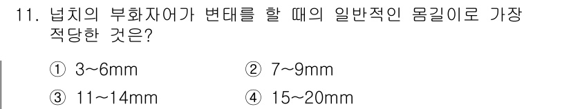 수산양식산업기사 2015년 11번 - 정답은 ③ 11~14mm입니다. 넙치의 부화자어는 일반적으로 11~14m... 에 관한 핵심 기출문제