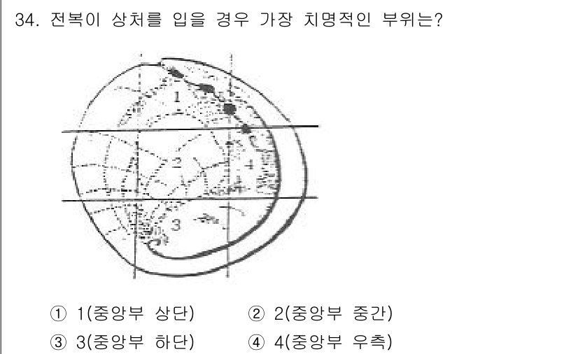 수산양식산업기사 2016년 34번 - 전복이 상처를 입을 경우 가장 치명적인 부위는 2번(중앙부 중간)입니다.... 에 관한 핵심 기출문제