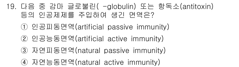 9급_지방직_공무원_서울시_공중보건 2016년 19번 - 인공 감마 글로불린은 외부에서 항체를 직접 주입하여 형성한 면역으로, 이... 에 관한 핵심 기출문제