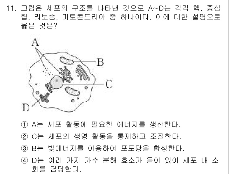 9급_지방직_공무원_서울시_과학 2017년 11번 - 세포의 생명 활동은 에너지 생산과 밀접하게 연관되어 있으며, 이는 세포가... 에 관한 핵심 기출문제