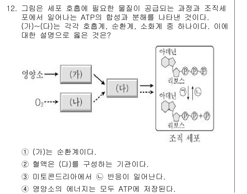 9급_지방직_공무원_서울시_과학 2017년 12번 - 문제에서 제시된 (가)부터 (다)까지의 호흡 과정은 세포 호흡의 주요 단... 에 관한 핵심 기출문제