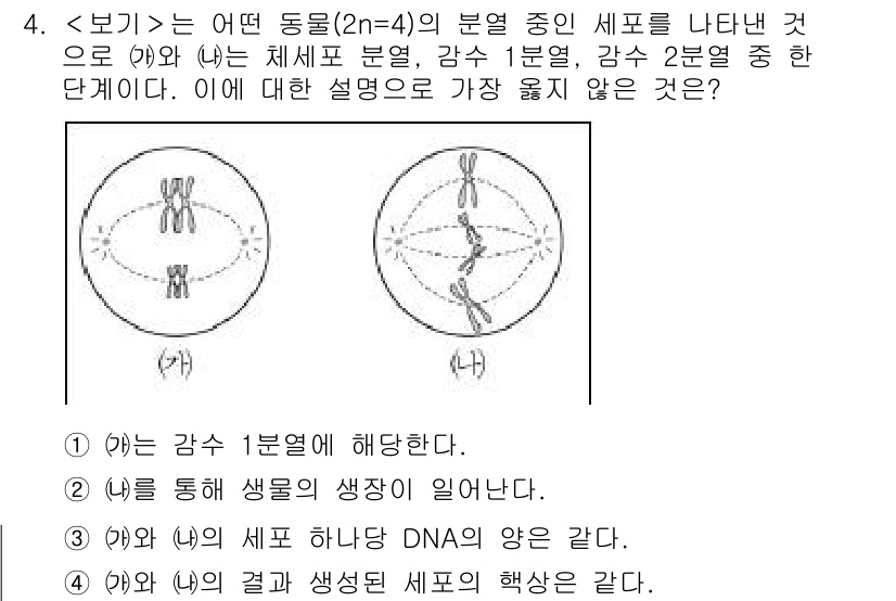 9급_지방직_공무원_서울시_과학 2018년 4번 - 문제에서 제시된 (한)와 (나)의 과정은 생명의 기원 및 세포 분열에 관... 에 관한 핵심 기출문제
