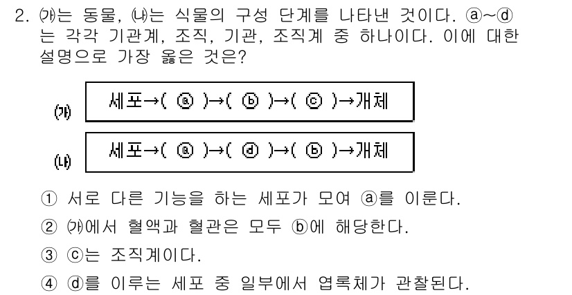 9급_지방직_공무원_서울시_과학 2019년 2번 - 정답 4번은 “서로 다른 기능을 하는 세포가 모여 A를 이룬다”는 설명이... 에 관한 핵심 기출문제