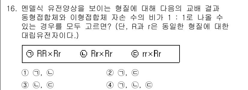 9급_지방직_공무원_서울시_생물 2016년 16번 - 유전형태 RxR와 r 처럼 서로 다른 동형접합체와 이형접합체에서 자손 비... 에 관한 핵심 기출문제