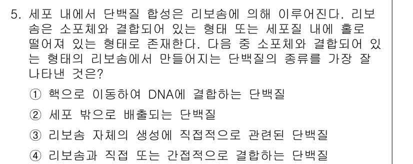 9급_지방직_공무원_서울시_생물 2016년 5번 - 리보솜은 단백질 합성을 담당하는 세포의 구조로, RNA와 단백질로 구성되... 에 관한 핵심 기출문제