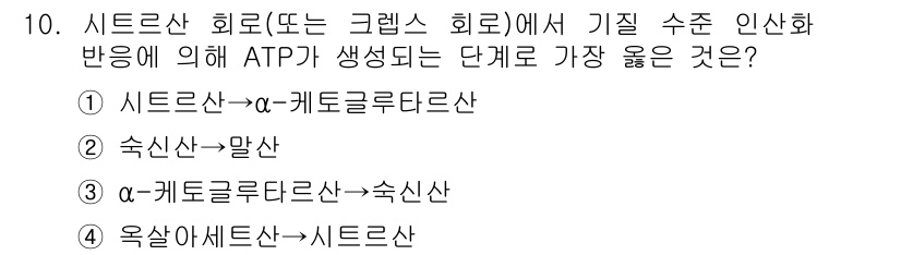 9급_지방직_공무원_서울시_생물 2019년 10번 - ATP가 생성되는 단계는 주로 해당 물질의 분해 과정에서 이루어지며, 시... 에 관한 핵심 기출문제