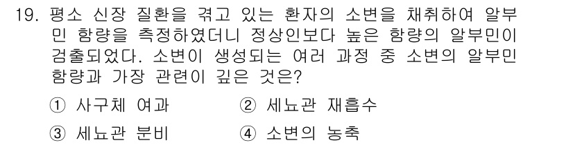 9급_지방직_공무원_서울시_생물 2019년 19번 - 정답은 1번 사구체 여과입니다. 사구체 여과는 신장에서 혈액의 성분을 걸... 에 관한 핵심 기출문제
