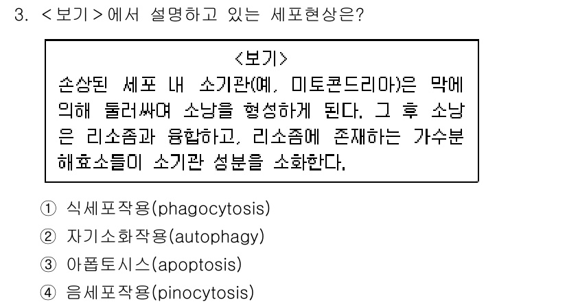 9급_지방직_공무원_서울시_생물 2019년 3번 - 소낭 형성 후 세포 내부로 물질을 섭취하는 과정인 세포포작용(2번)은 세... 에 관한 핵심 기출문제