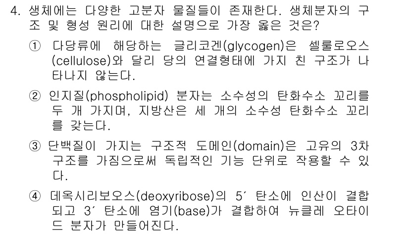 9급_지방직_공무원_서울시_생물 2019년 4번 - 정답 3은 인지질(phospholipid)과 관련이 있습니다. 이들은 소... 에 관한 핵심 기출문제