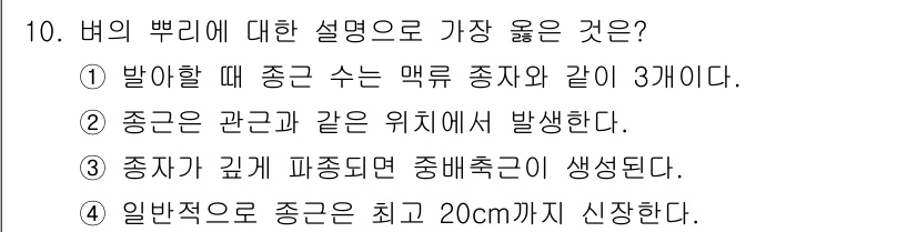 9급_지방직_공무원_서울시_식용작물 2017년 10번 - 정답 3번이 가장 적합한 이유는, 종자가 깊게 파종되면 중배축이 생성되는... 에 관한 핵심 기출문제