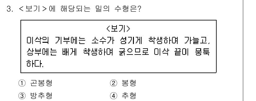 9급_지방직_공무원_서울시_식용작물 2019년 3번 - 미삭의 기부에서 소수가 세기게 착착하며 가는 형태로 표기되며, 상부에는 ... 에 관한 핵심 기출문제