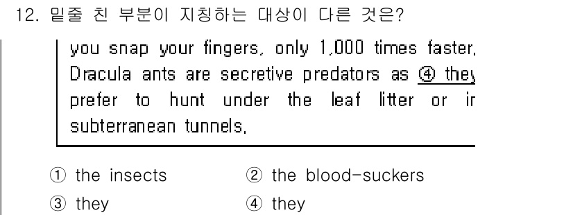 9급_지방직_공무원_서울시_영어 2019년 12번 - 정답은 3번 "they"입니다. "they"는 앞 문장의 "Dracula... 에 관한 핵심 기출문제