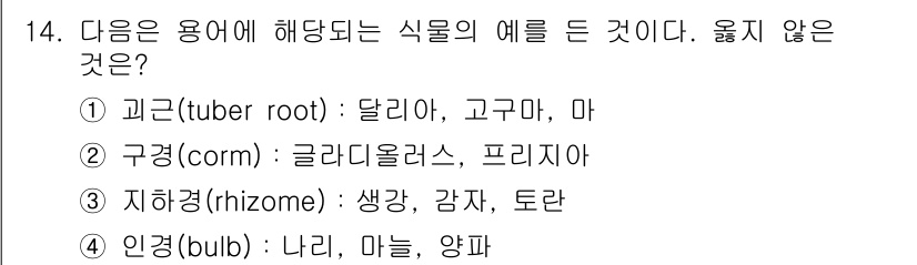 9급_지방직_공무원_서울시_재배학개론 2015년 14번 - 정답은 3번 "지하경(rhizome)"입니다. 지하경은 식물의 뿌리나 줄... 에 관한 핵심 기출문제