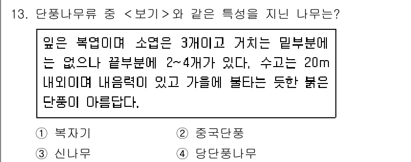 9급_지방직_공무원_서울시_조경학 2016년 13번 - 이 문제에서 "단풍나무류 중 보기에 같은 특성을 지닌 나무는?"이라는 질... 에 관한 핵심 기출문제