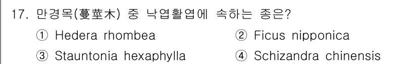 9급_지방직_공무원_서울시_조경학 2016년 17번 - 만경목 중 낙엽활엽수에 해당하는 식물로, Schizandra chinen... 에 관한 핵심 기출문제