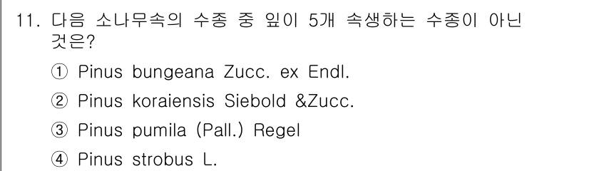 9급_지방직_공무원_서울시_조경학 2017년 11번 - Pinus bungeana는 소나무속이 아닌 다른 속에 속하는 종으로, ... 에 관한 핵심 기출문제