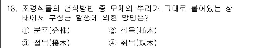 9급_지방직_공무원_서울시_조경학 2017년 13번 - 부정균 발생 시 적절한 생육 환경을 유지하기 위해서는 적절한 가지치기 및... 에 관한 핵심 기출문제