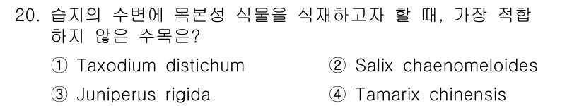 9급_지방직_공무원_서울시_조경학 2019년 20번 - 정답은 3. Juniperus rigida입니다. Juniperus ri... 에 관한 핵심 기출문제
