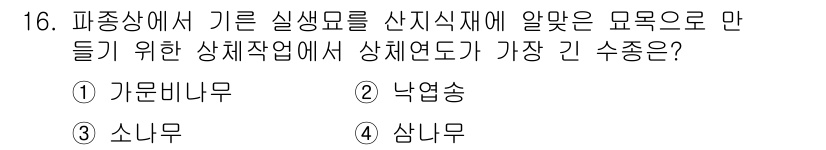 9급_지방직_공무원_서울시_조림 2015년 16번 - 정답은 1번 가문비나무입니다. 가문비나무는 산지식재에 적합한 수종으로, ... 에 관한 핵심 기출문제