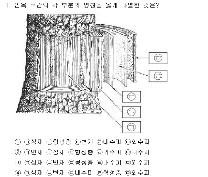 9급_지방직_공무원_서울시_조림 2016년 1번 - 문제에서 주어진 이미지는 나무의 단면 구조를 나타내고 있습니다. 임목 수... 에 관한 핵심 기출문제