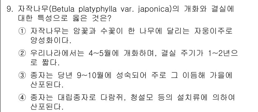 9급_지방직_공무원_서울시_조림 2016년 9번 - 자작나무(Betula platyphylla var. japonica)는 ... 에 관한 핵심 기출문제