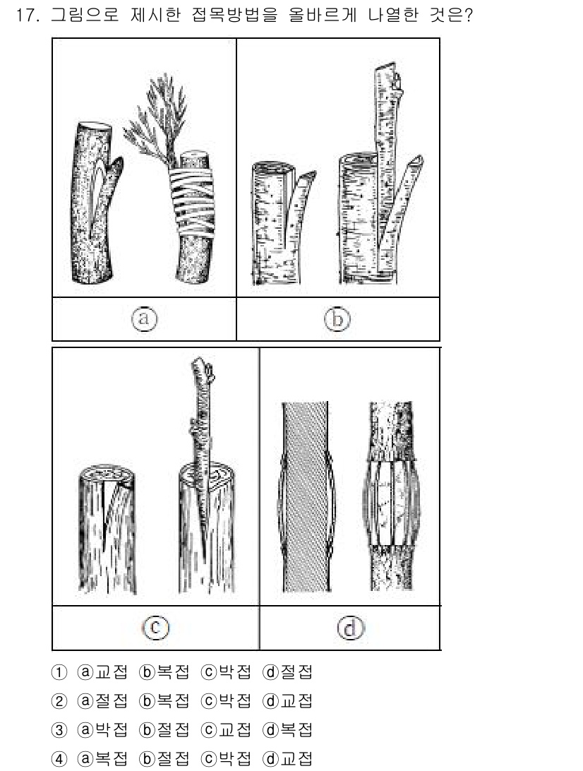 9급_지방직_공무원_서울시_조림 2017년 17번 - 해당 그림은 나무를 재료로 둥글고 따뜻한 내구성을 보장하는 접목 방법을 ... 에 관한 핵심 기출문제
