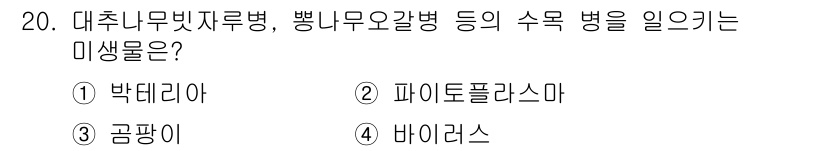 9급_지방직_공무원_서울시_조림 2018년 20번 - 정답은 2번 파이토플라스마입니다. 파이토플라스마는 식물의 세포 내에서 기... 에 관한 핵심 기출문제
