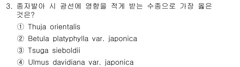 9급_지방직_공무원_서울시_조림 2018년 3번 - 문제에서 주어진 수종 중에서 Thuja orientalis(편백나무)가 ... 에 관한 핵심 기출문제
