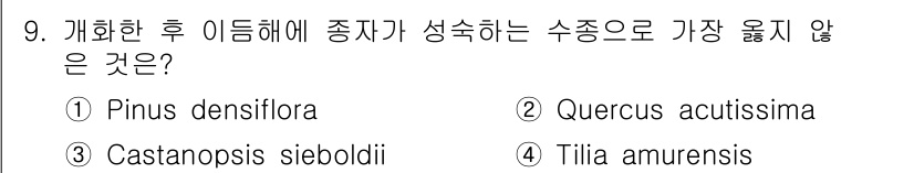 9급_지방직_공무원_서울시_조림 2019년 9번 - . Tilia amurensis

이유: Tilia amurensis는 ... 에 관한 핵심 기출문제