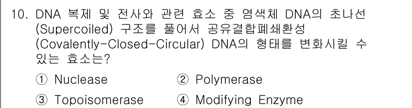 바이오화학제품제조기사 2020년 10번 - . Topoisomerase  
이 효소는 DNA의 초나선 구조를 풀어주... 에 관한 핵심 기출문제