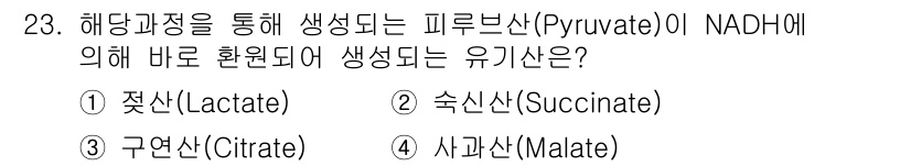 바이오화학제품제조기사 2020년 23번 - 정답은 1. 젖산(Lactate)입니다. 해당 과정에서 피루브산이 NAD... 에 관한 핵심 기출문제