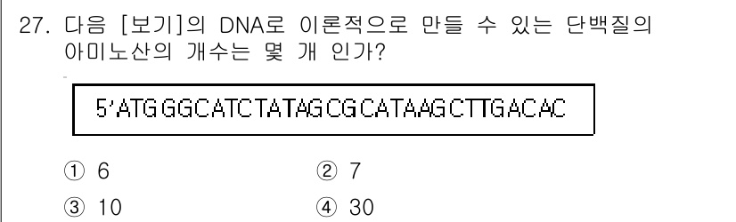 바이오화학제품제조기사 2020년 27번 - 주어진 DNA 서열을 이론적으로 단백질로 번역할 때, 코돈이 3개의 염기... 에 관한 핵심 기출문제
