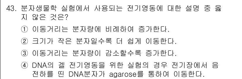 바이오화학제품제조기사 2020년 43번 - 전기영동은 분자량에 따라 분자를 이동시키며, 이로 인해 분자의 크기에 따... 에 관한 핵심 기출문제