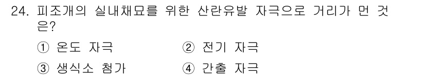 수산양식기사 2020년 24번 - 정답은 2. 전기 자극입니다. 피조개의 실내체료를 위해 산란유발 자극으로... 에 관한 핵심 기출문제
