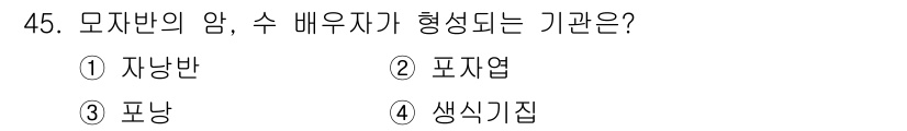 수산양식기사 2020년 45번 - 모자반의 암, 즉 수배우자가 형성되는 기관은 생식기집이다. 생식기집은 모... 에 관한 핵심 기출문제