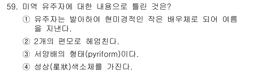 수산양식기사 2020년 59번 - 정답 4번은 '성상(質)색소체를 가진다'는 내용이 유미역 유주자의 특징으... 에 관한 핵심 기출문제
