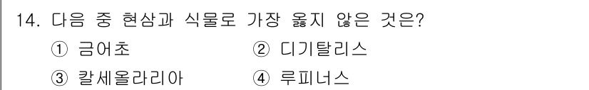 화훼장식기사 2020년 14번 - 주어진 보기 중에서 '디기탈리스'는 약용 식물로 주로 약리효과가 강조되는... 에 관한 핵심 기출문제