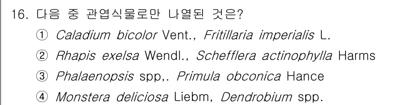 화훼장식기사 2020년 16번 - 정답 '2'인 이유는 'Rhapis excelsa'와 'Scheffler... 에 관한 핵심 기출문제